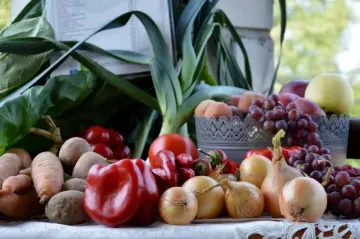 Wizyta studyjna #studypress przedstawicieli mediów organizowana przez Stowarzyszenie GRUPA ODROLNIKA 